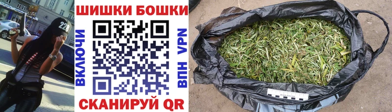 где купить   Сосновый Бор  Конопля ГИДРОПОН 